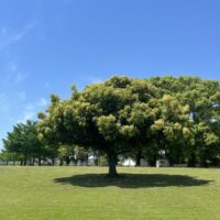5月定休日