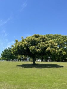 5月定休日